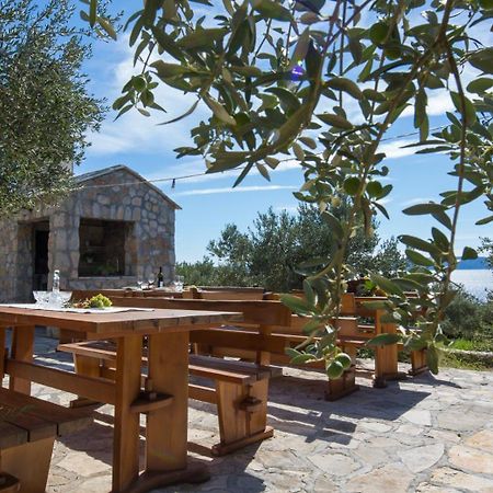 Apartmani Villa Athina Tučepi Kültér fotó